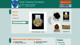 What Udaytrading.in website looked like in 2021 (3 years ago)