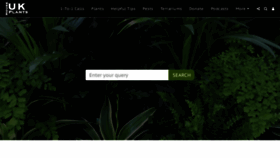 What Ukhouseplants.com website looked like in 2021 (3 years ago)