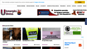 What Ukzinios.lt website looked like in 2021 (3 years ago)