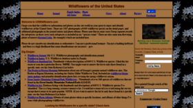 What Uswildflowers.com website looked like in 2021 (2 years ago)