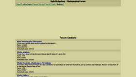 What Uglyhedgehog.com website looked like in 2022 (2 years ago)