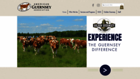 What Usguernsey.com website looked like in 2023 (1 year ago)