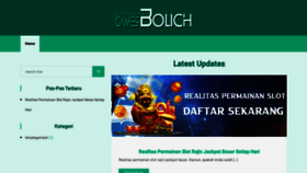 What Unblockedgamesbolich.com website looked like in 2023 (This year)