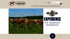 What Usguernsey.com website looks like in 2024 