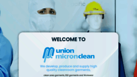 What Unionmicronclean.com website looks like in 2024 
