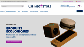 What Usbmegastore.com website looks like in 2024 