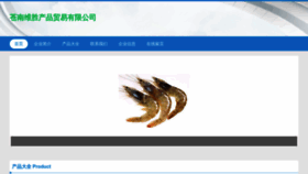 What Uizatyl.cn website looks like in 2024 