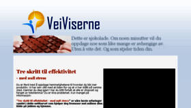 What Veivisere.no website looked like in 2013 (10 years ago)
