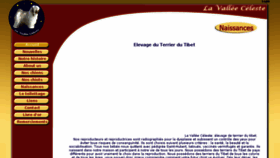 What Valtibet.be website looked like in 2013 (10 years ago)