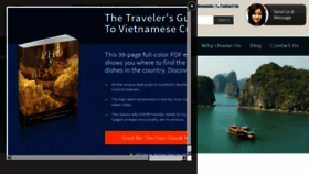 What Vietnamtripadvisor.com website looked like in 2015 (9 years ago)