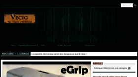 What Vecig.fr website looked like in 2016 (8 years ago)