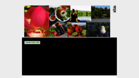 What Vietnamanchay.com website looked like in 2017 (8 years ago)
