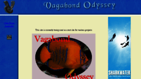 What Vagabondodyssey.com website looked like in 2017 (6 years ago)