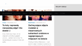 What Viralowe.pl website looked like in 2017 (6 years ago)