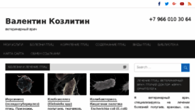 What Vkdoc.ru website looked like in 2017 (8 years ago)