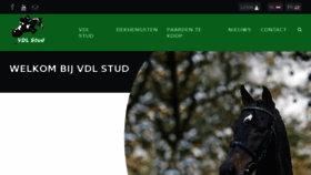 What Vdlstud.nl website looked like in 2017 (6 years ago)