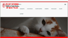 What Veterinerizmir.com website looked like in 2017 (6 years ago)