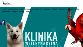 What Vetka.pl website looked like in 2018 (5 years ago)
