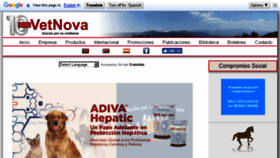 What Vetnova.net website looked like in 2018 (5 years ago)