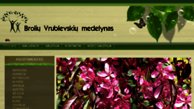 What Vrmedelynas.lt website looked like in 2018 (5 years ago)