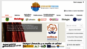 What Vidasana.org website looked like in 2018 (5 years ago)