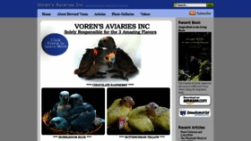 What Voren.com website looked like in 2018 (5 years ago)