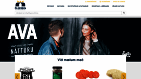 What Vefverslun.olgerdin.is website looked like in 2019 (5 years ago)
