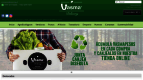 What Vasma.cl website looked like in 2019 (5 years ago)