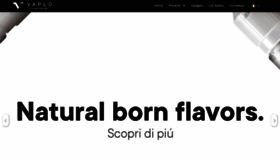 What Vaplo.com website looked like in 2019 (6 years ago)