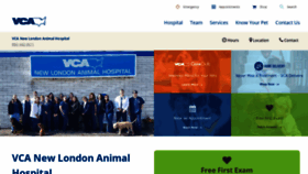 What Vcanewlondon.com website looked like in 2019 (4 years ago)