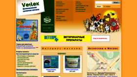 What Vetlek.ru website looked like in 2019 (5 years ago)