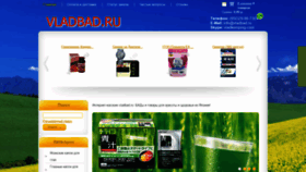 What Vladbad.ru website looked like in 2019 (4 years ago)