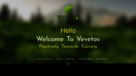 What Vevetos.com website looked like in 2019 (4 years ago)
