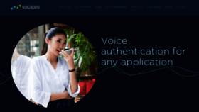 What Voicepin.com website looked like in 2019 (4 years ago)