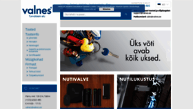 What Valnes.ee website looked like in 2019 (4 years ago)