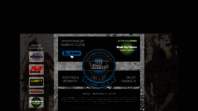 What Viking.waw.pl website looked like in 2019 (5 years ago)