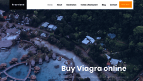 What Viaonlinebuy.us website looked like in 2019 (4 years ago)