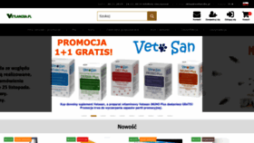 What Vetlandia.pl website looked like in 2019 (4 years ago)