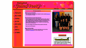 What Volley-fest.com website looked like in 2019 (4 years ago)