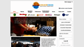 What Vidasana.org website looked like in 2019 (4 years ago)