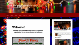 What Viva-nm.org website looked like in 2019 (4 years ago)