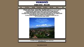 What Vojkovici.com website looked like in 2019 (4 years ago)