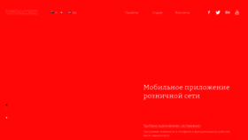 What Vigroup.ru website looked like in 2019 (4 years ago)