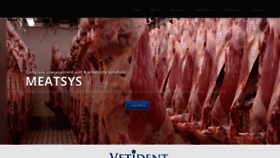 What Vetident.com website looked like in 2019 (4 years ago)