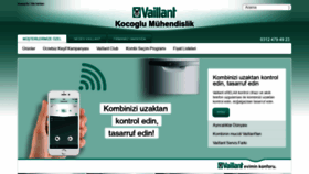 What Vaillantankarakocoglu.com website looked like in 2020 (4 years ago)