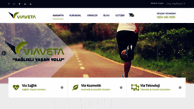 What Viaveta.com website looked like in 2020 (4 years ago)