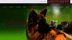 What Vetpractice.com.sg website looked like in 2020 (4 years ago)