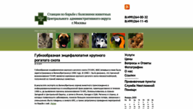 What Vet-doktor.ru website looked like in 2020 (4 years ago)