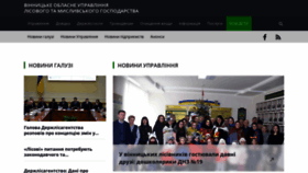 What Vinwood.gov.ua website looked like in 2020 (4 years ago)