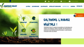 What Vegepolys-valley.eu website looked like in 2020 (4 years ago)